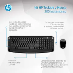 HP - WL Keyboard and Mouse 300 LTNA