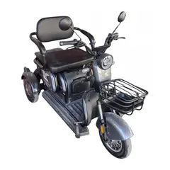 LEKO - Triciclo Eléctrico Modelo TM3 Color GRIS