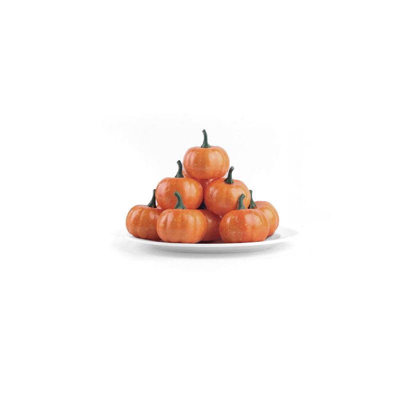 FRANK & MORTIS - Set de 16 Calabazas Frank & Mortis