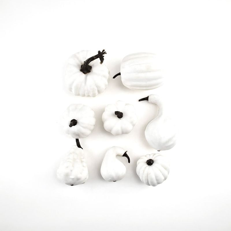 FRANK & MORTIS - Set de 8 Calabazas Frank & Mortis