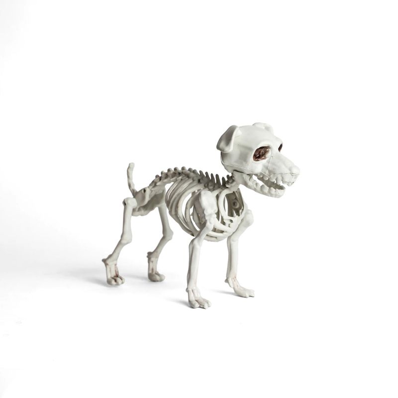 FRANK & MORTIS - Esqueleto Perro Frank & Mortis