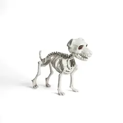 FRANK & MORTIS - Esqueleto Perro