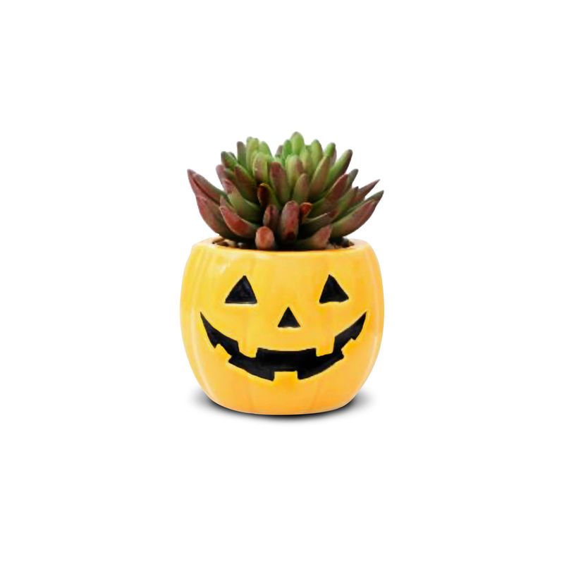 FRANK & MORTIS - Macetero de Calabaza Frank & Mortis
