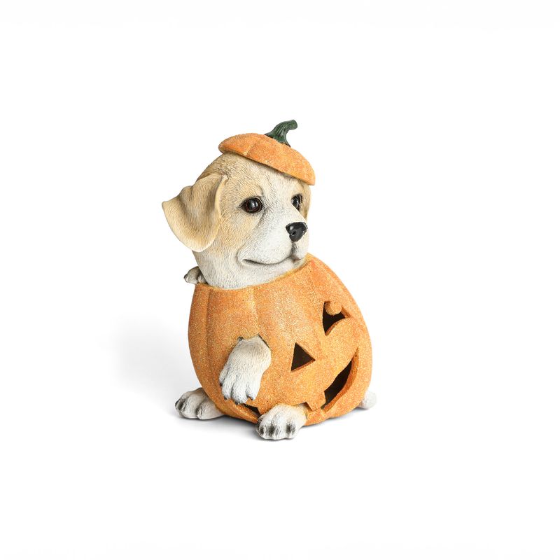 FRANK & MORTIS - Perrito en Calabaza Led Frank & Mortis