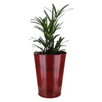 MACETERO FLORIDIS ROJO EFECTO MARMOL GENEBRA 57CM ALTO CON PLATO