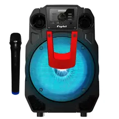 FUJITEL - Parlante Karaoke con Micrófono inalámbrico BT8L Recargable