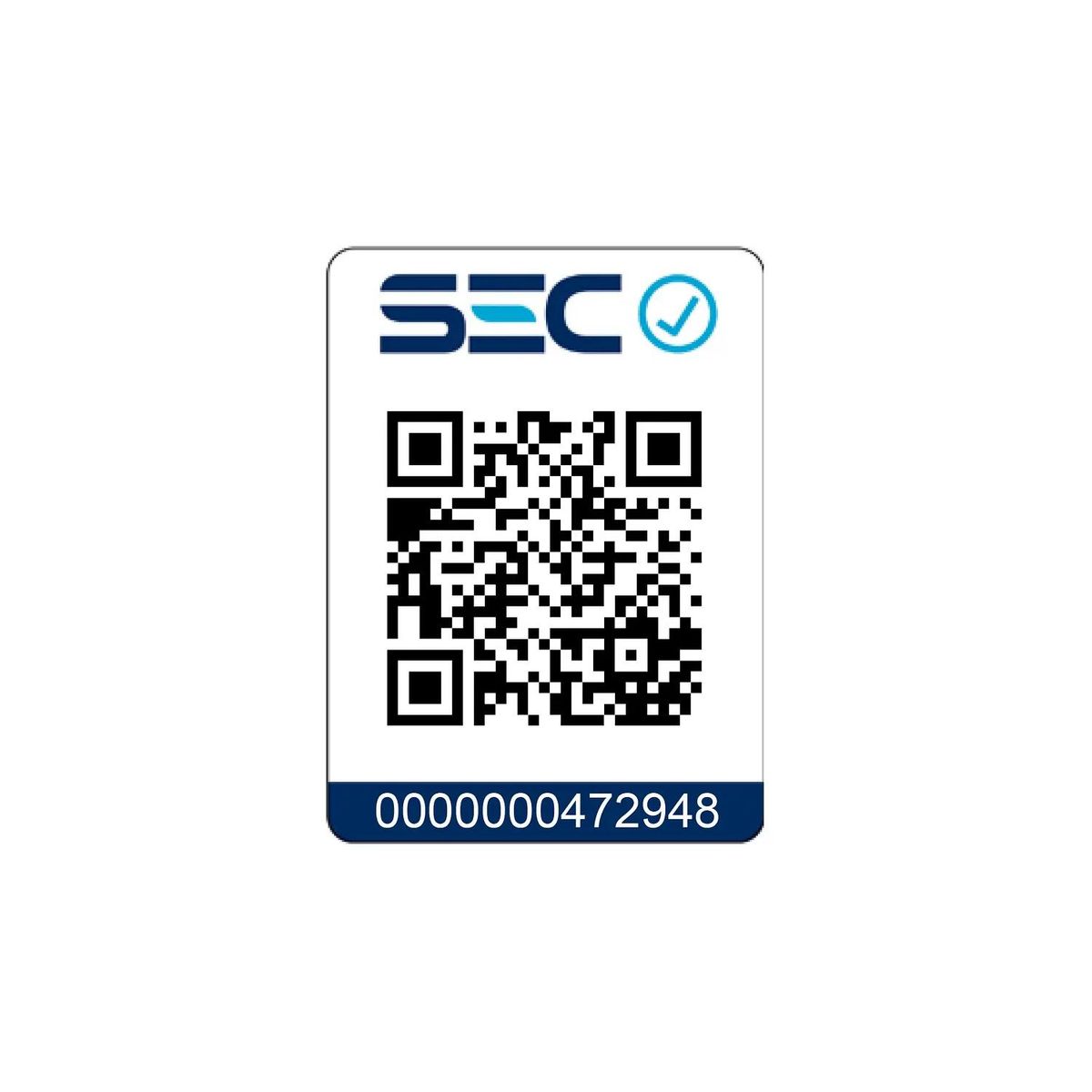 BLAUPUNKT - Maquina Cortadora Pelo Y Barba 9Acc Legacy Power Blaupunkt