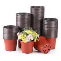 X100 Molde Para Macetas Suculentas Maceteros Yeso Cemento