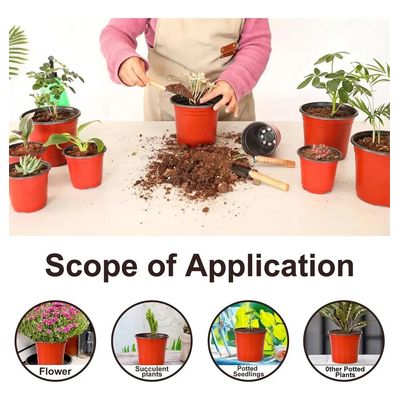 Imagen 2 del producto X100 Molde Para Macetas Suculentas Maceteros Yeso Cemento