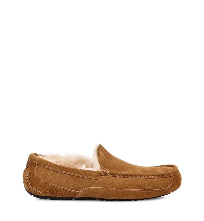 Pantuflas Hombre Ascote Café