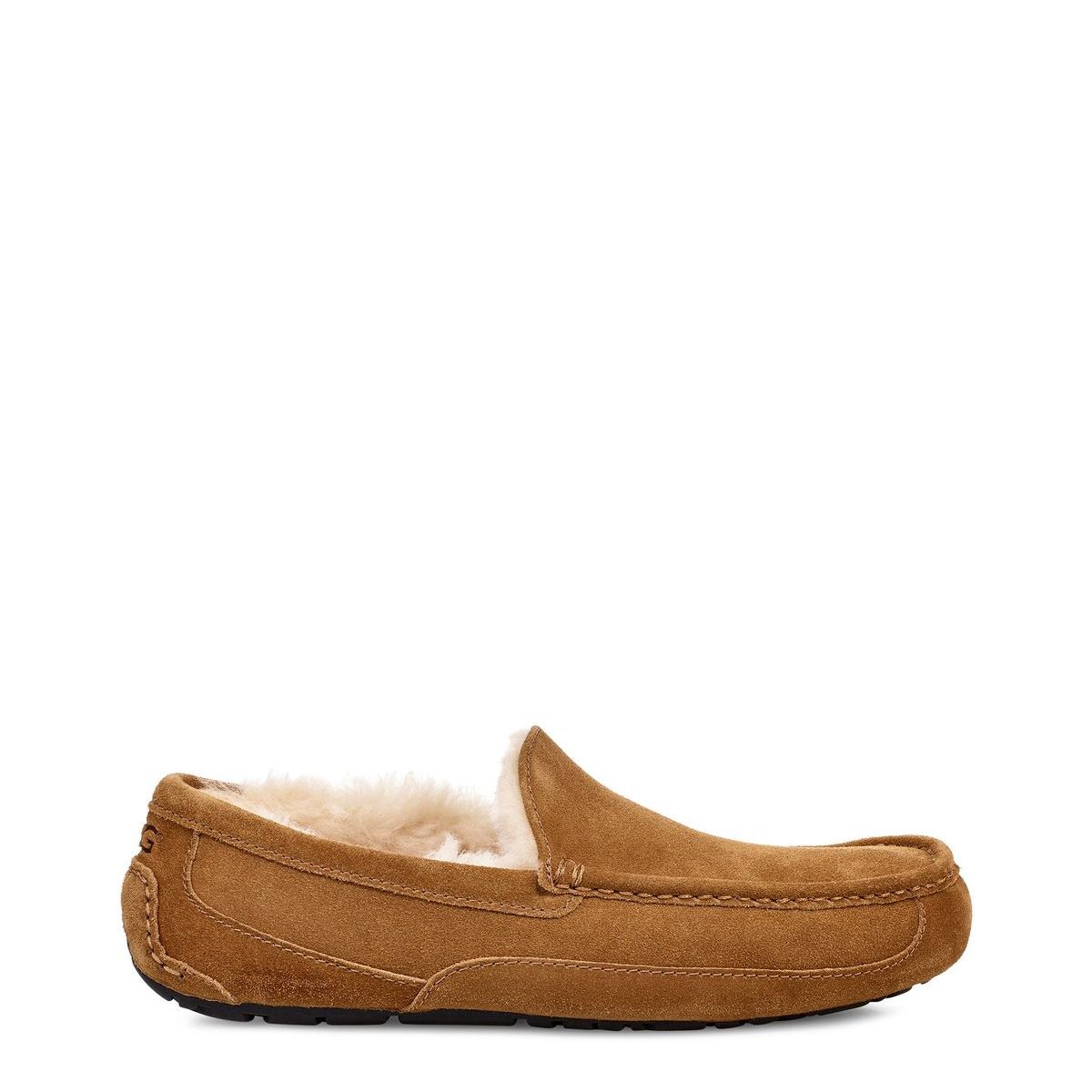 UGG - Pantuflas Hombre Ugg Ascote Café