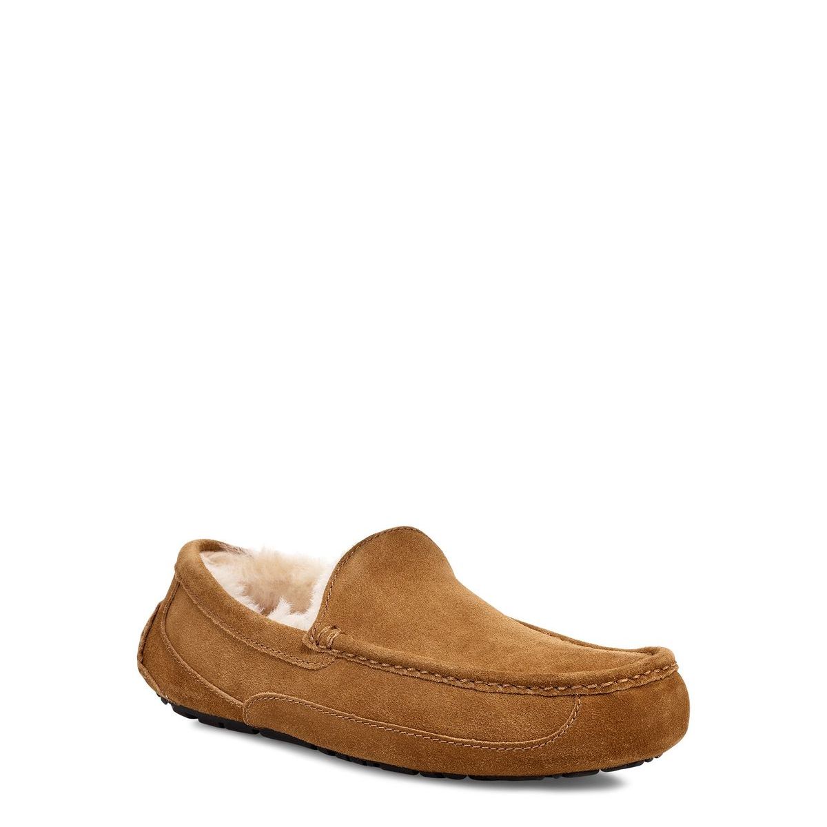 UGG - Pantuflas Ascot Hombre Café