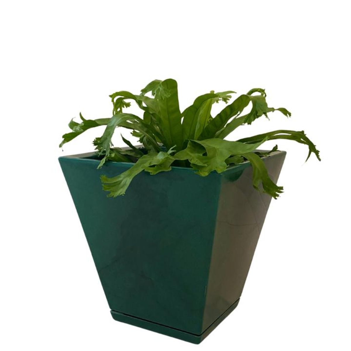 FLORIDIS - MACETERO FLORIDIS VERDE EFECTO MARMOL ZURIQUE 34CM ALTO CON PLATO