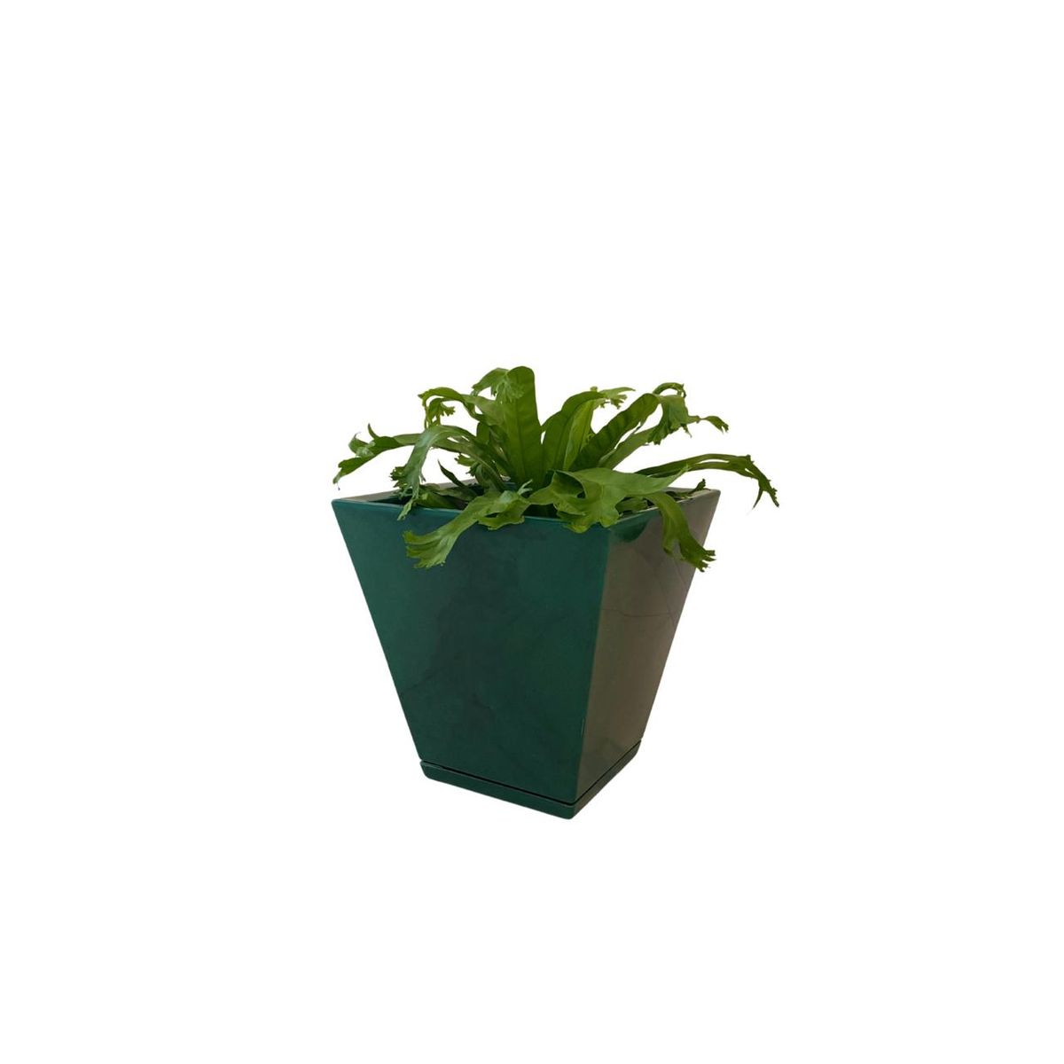 FLORIDIS - MACETERO FLORIDIS VERDE EFECTO MARMOL ZURIQUE 34CM ALTO CON PLATO