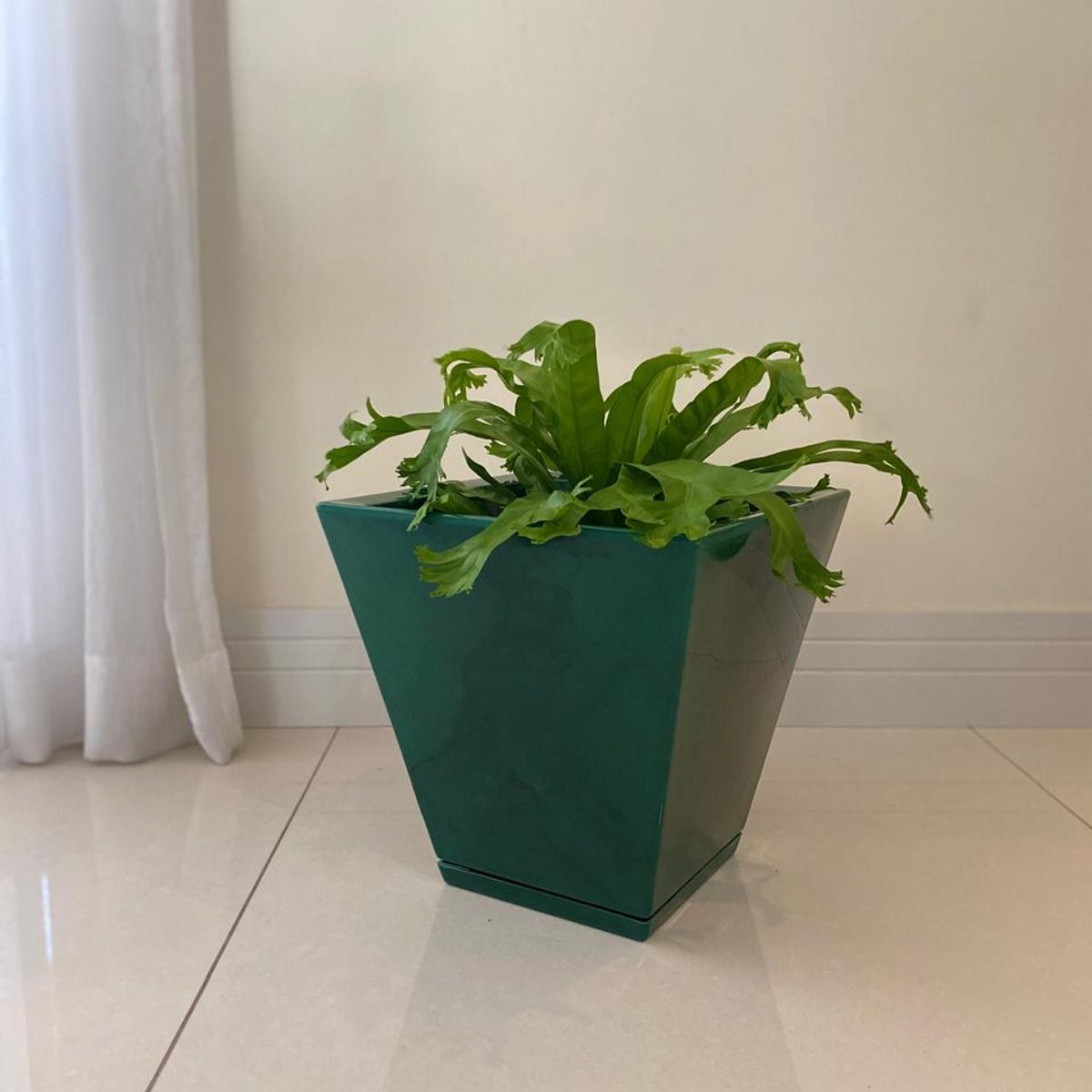 FLORIDIS - MACETERO FLORIDIS VERDE EFECTO MARMOL ZURIQUE 34CM ALTO CON PLATO