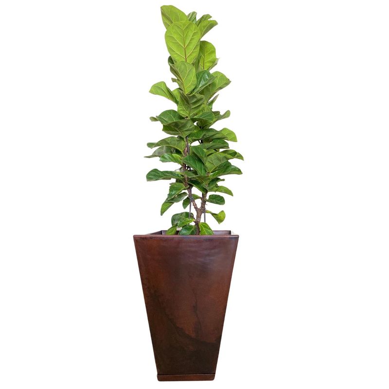 FLORIDIS - MACETERO FLORIDIS CAFÉ EFECTO MARMOL ZURIQUE 55CM ALTO CON PLATO