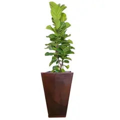 FLORIDIS - MACETERO CAFÉ EFECTO MARMOL ZURIQUE 55CM ALTO CON PLATO