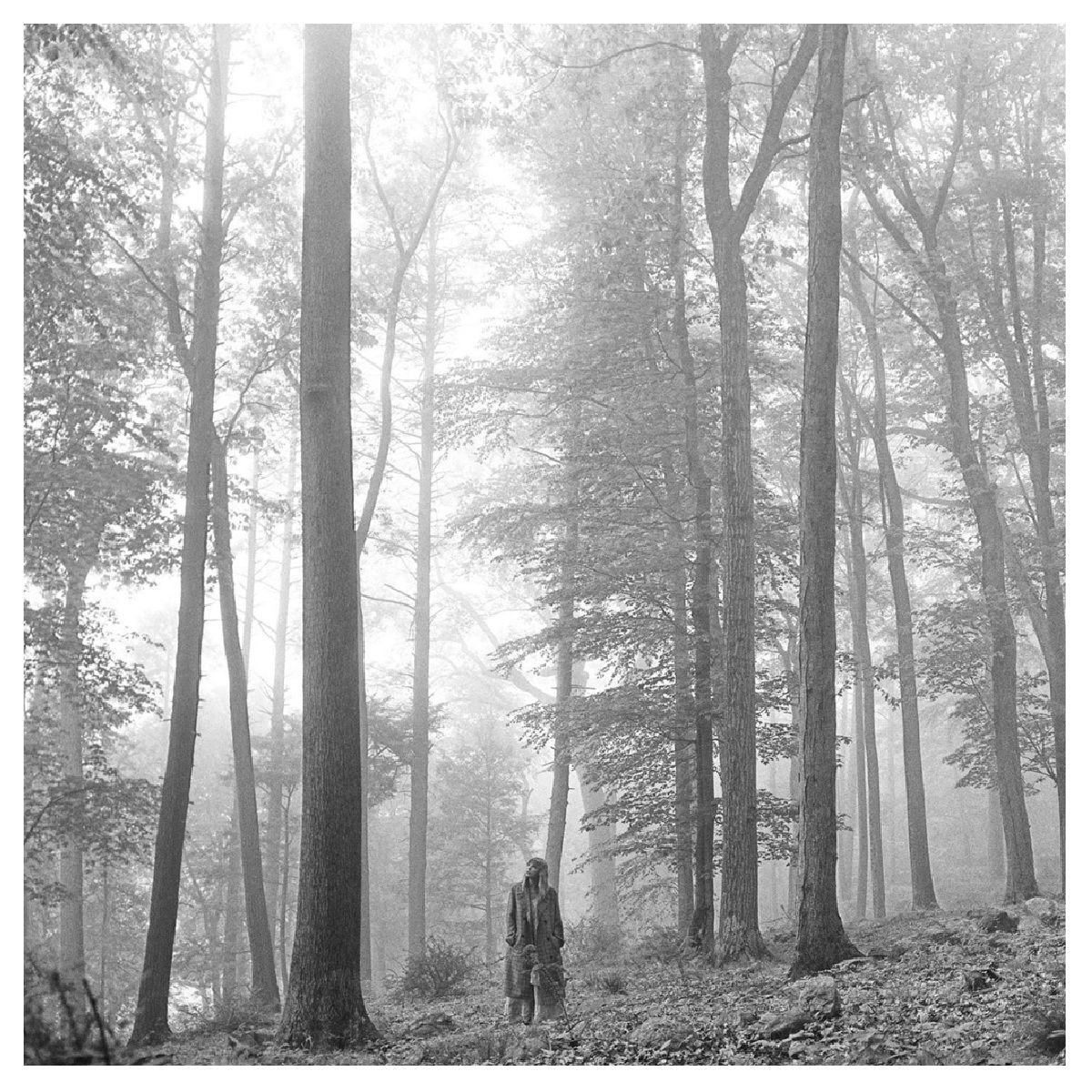 GRUPO LASER DISC - Vinilo taylor swift folklore 2lp