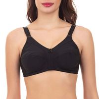 Sosten Sin Arco Liso