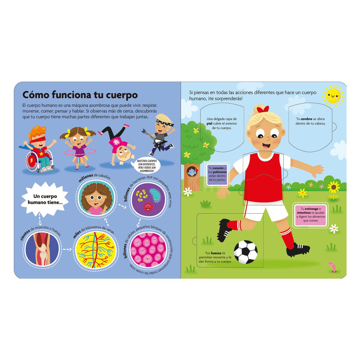 EDITORIAL GUADAL - Libro Descubre El Cuerpo Humano *Datos Curiosos*