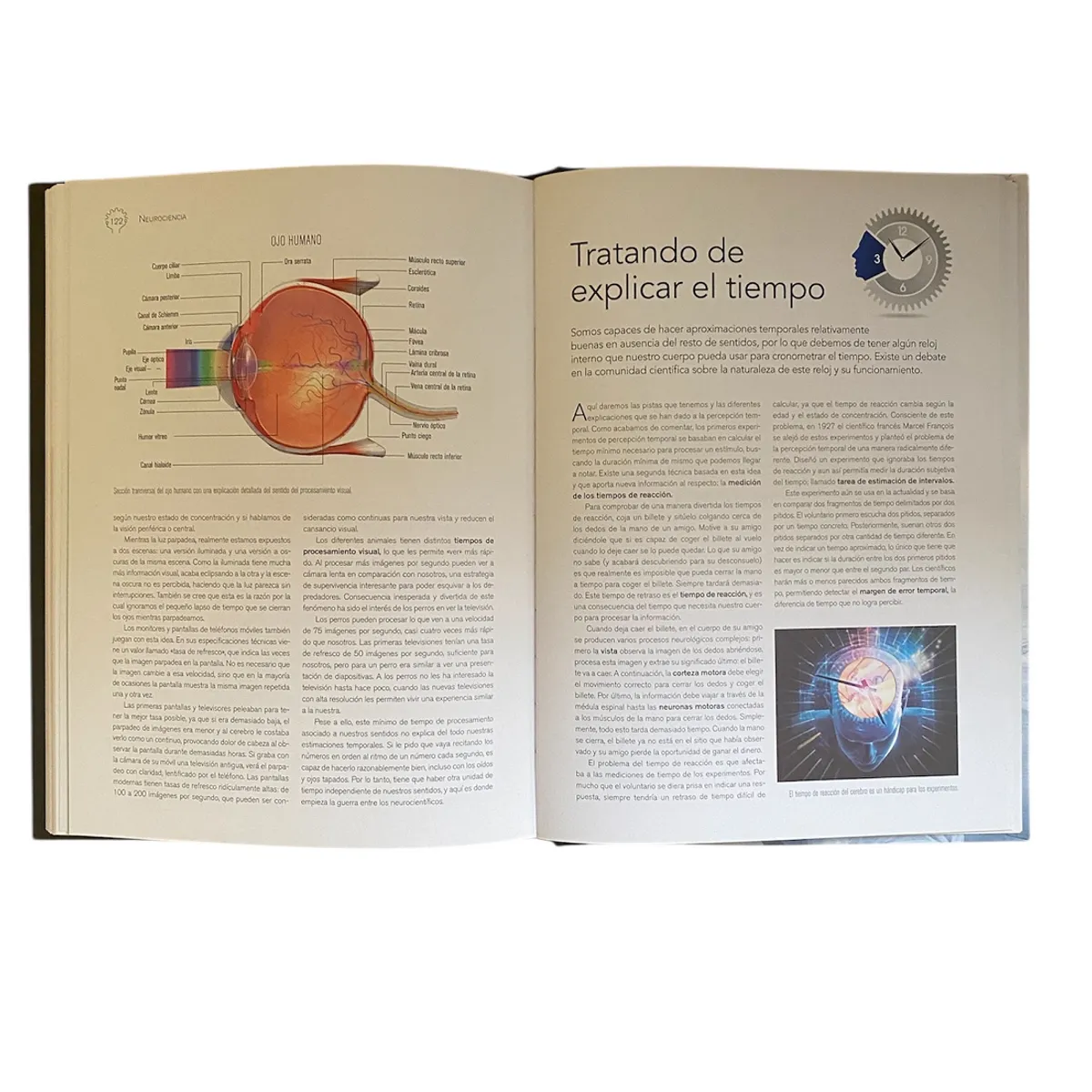 LEXUS EDITORES - Libro Neurociencia Estructura Y Funcionamiento Del Cerebro - Lexus