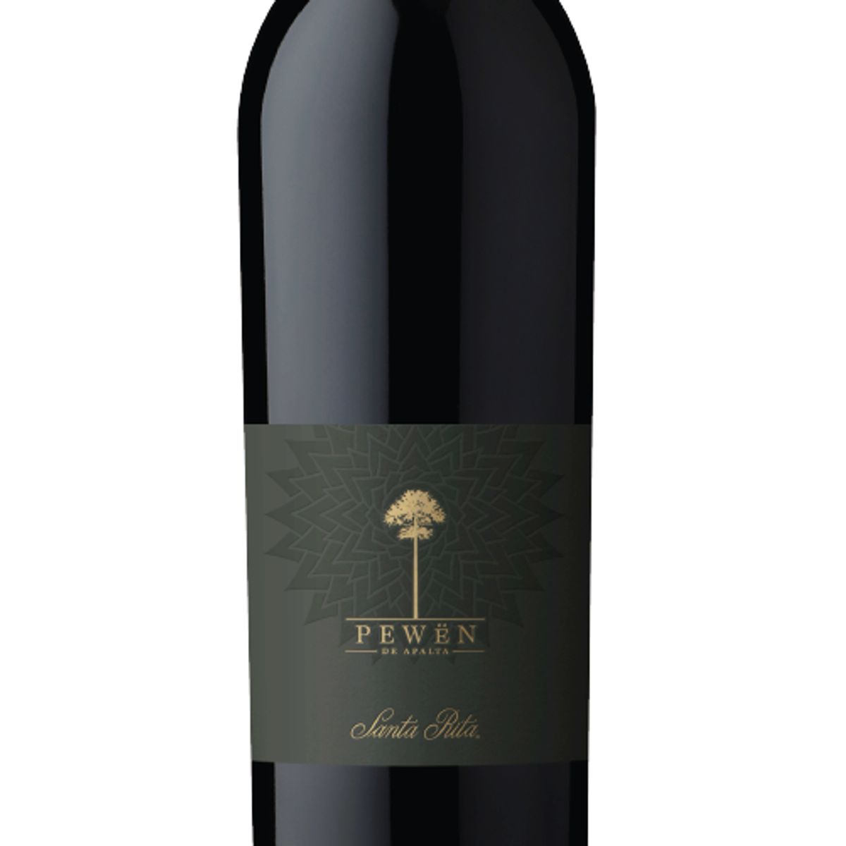 SANTA RITA - Vino Pewen de Apalta Carmenere 750cc