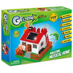 AMAZING - 36517 MUSICAL HOME