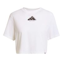 Polera Graphic CLIMACOOL Vintage de Entrenamiento