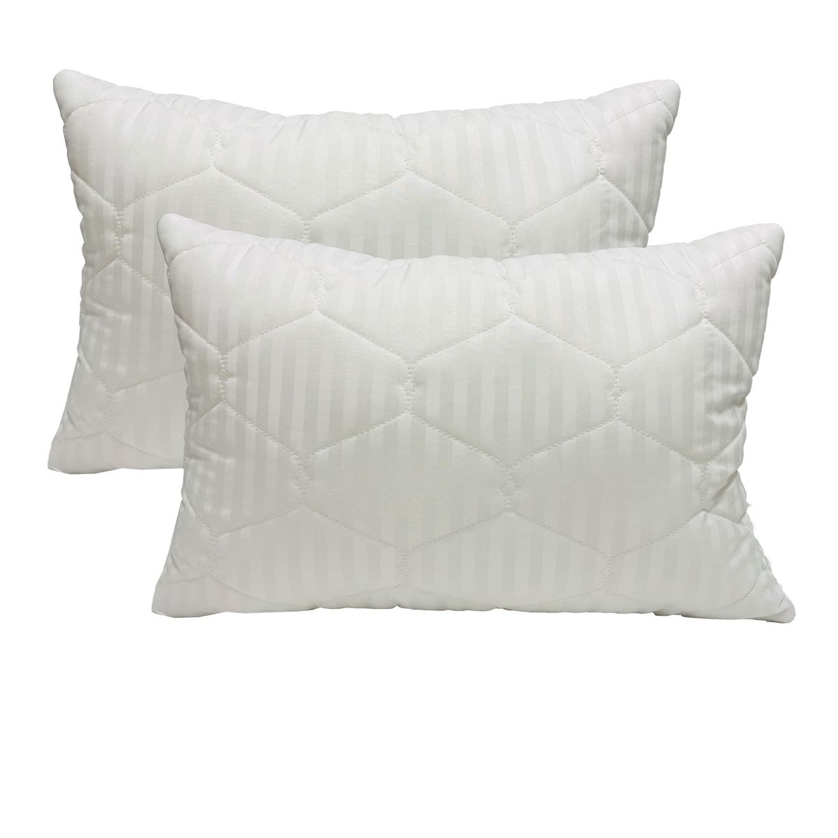 FOCUS - Set 2 Almohadas Microfibra Acolchadas 50x70