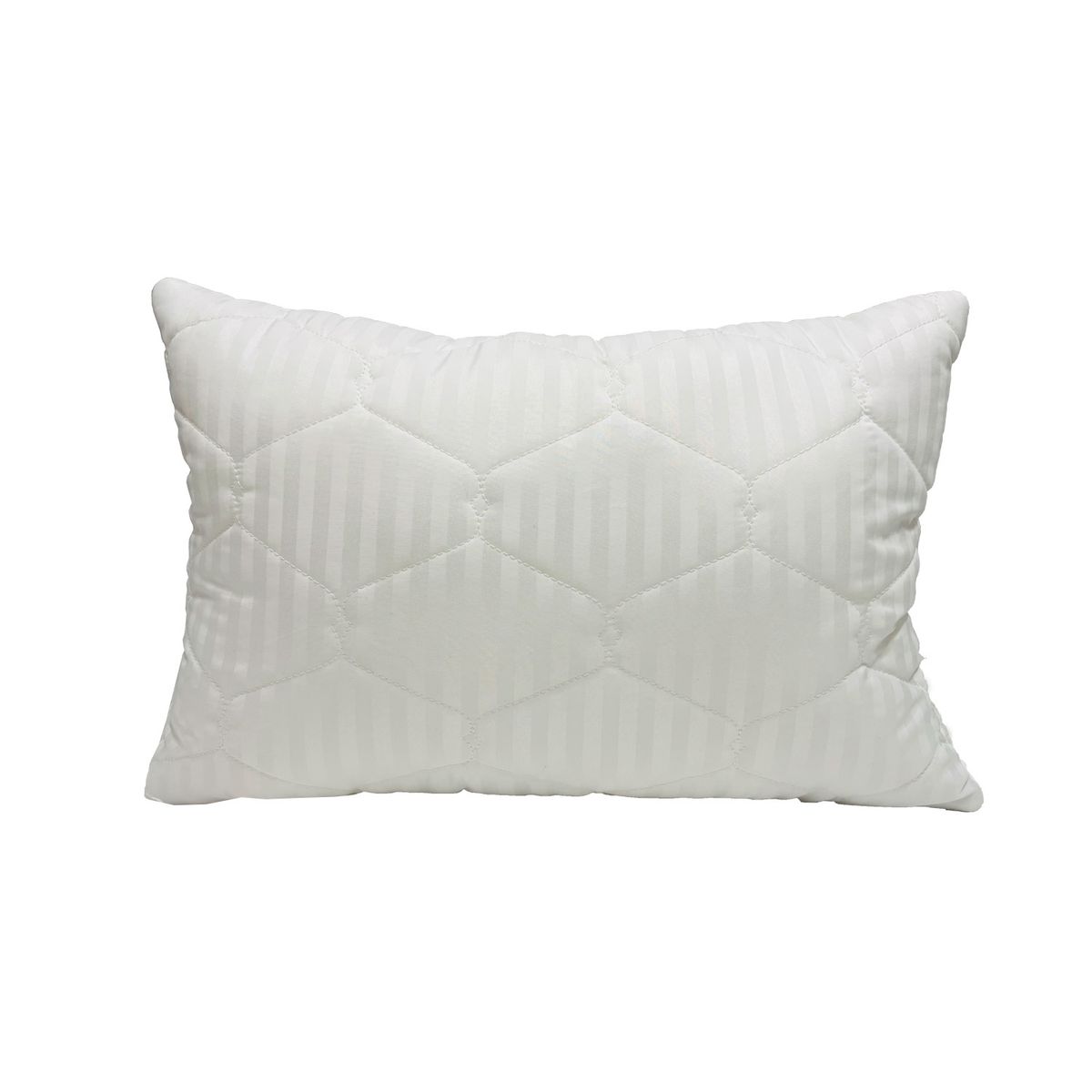 FOCUS - Set 2 Almohadas Microfibra Acolchadas 50x70