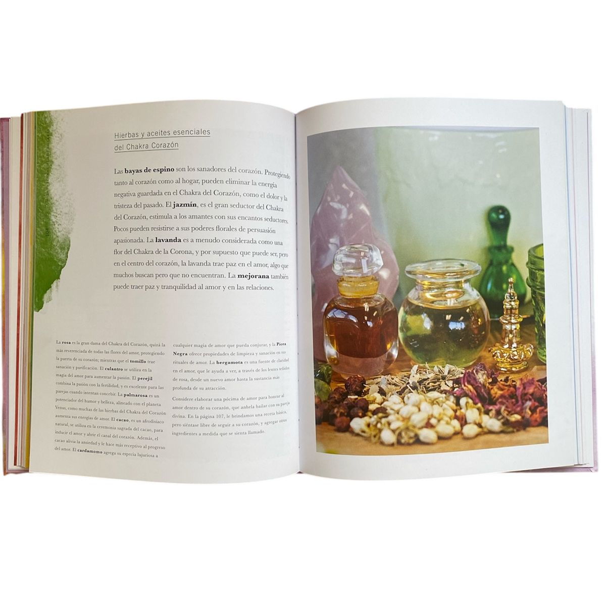 LEXUS EDITORES - Libro Guia Integral De Los Chakras - Lexus- Nuevo y original