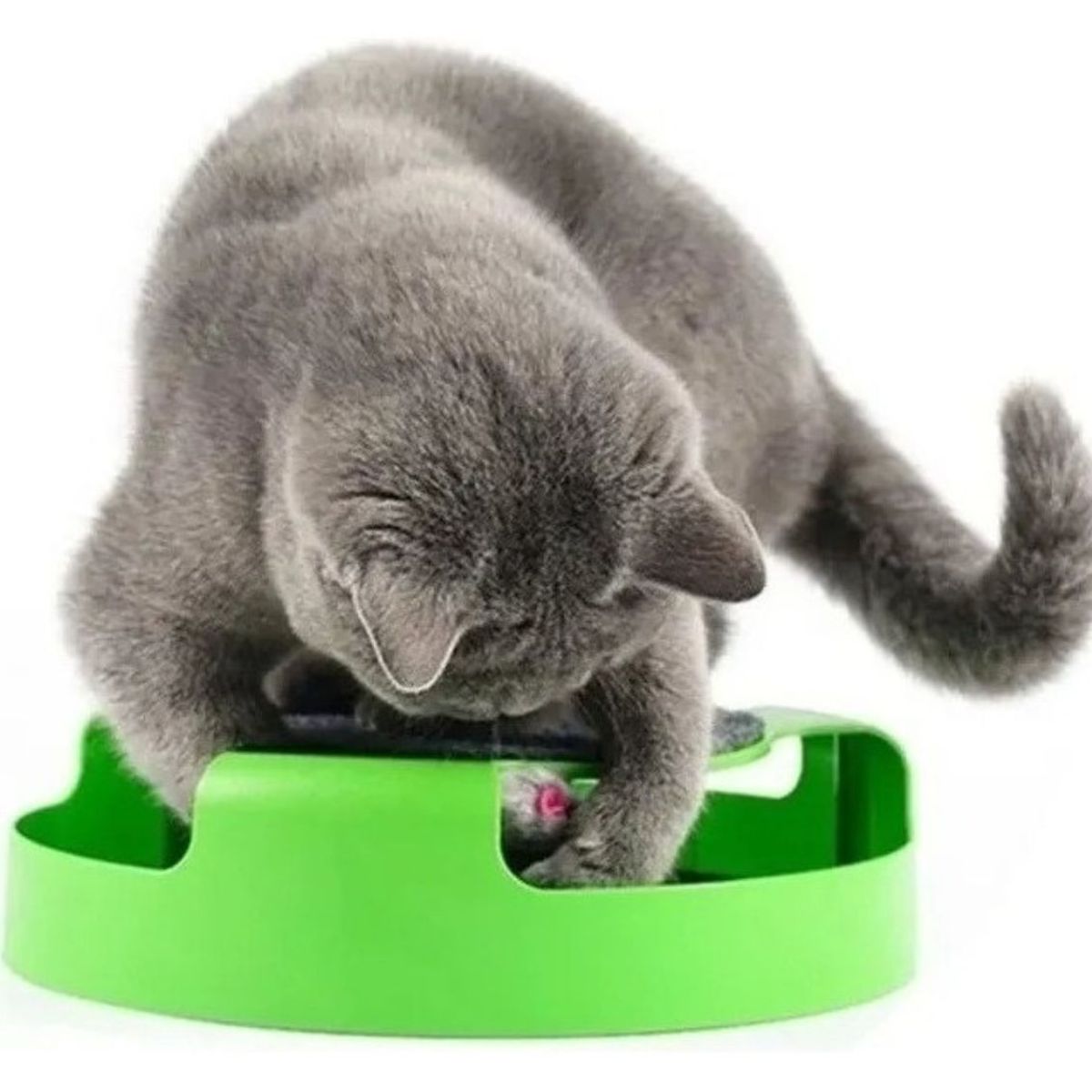 GENERICO - Juguete Gato Atrapa Ratón Juego Interactivo Para Mascota