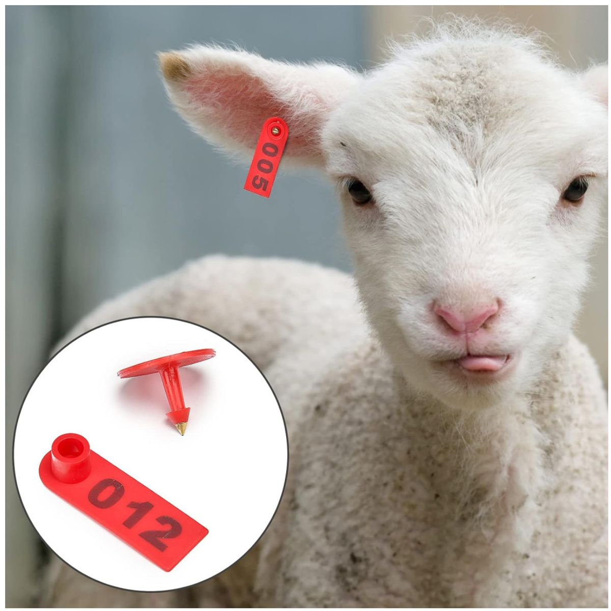 KUANGYE - 100 Arete Cabra Borrego Ganado Enumerado Láser Con Numero