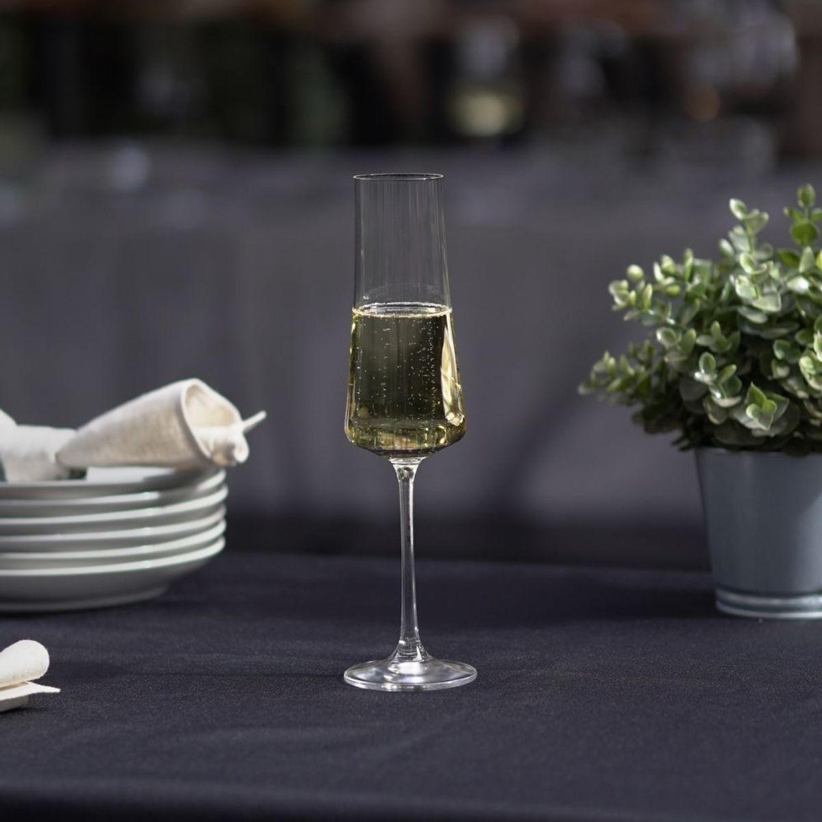 BOHEMIA CRYSTAL - CRYSTALEX SET 6 COPAS CHAMPAGNE XTRA OPTIC 210ml