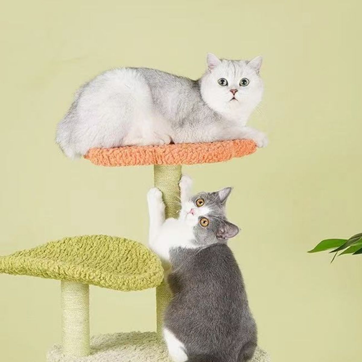 HOMER OUTDOOR - Rascador Para Gatos Cocolumpio Para Gatos De 3 Pisos Verde