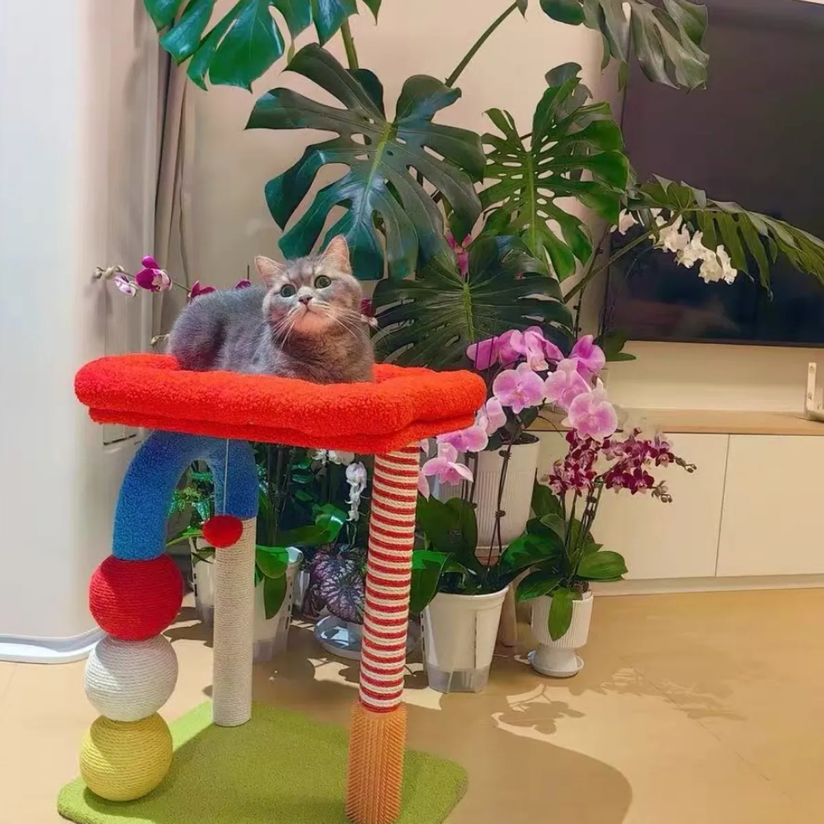 HOMER OUTDOOR - Rascador Para Gatos Cocolumpio Para Gatos De 4 Pisos Rojo