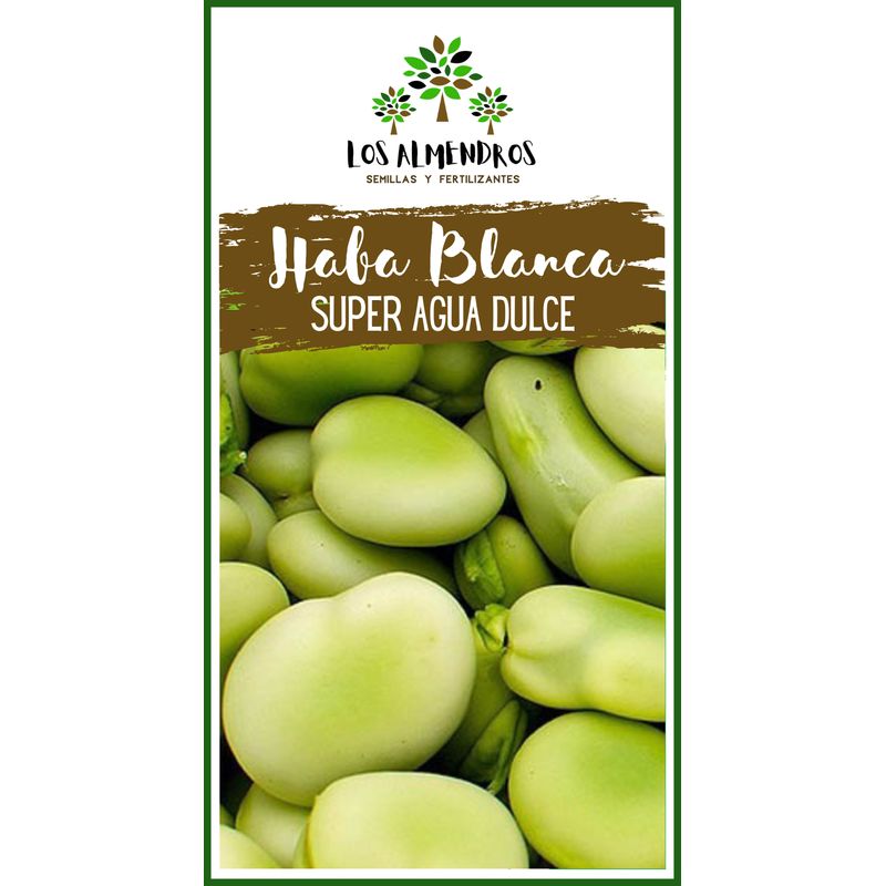 GENERICO - SEMILLA DE HABA SUPER AGUA DULCE 100G
