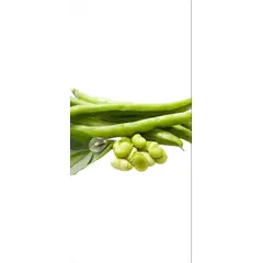 GENERICO - SEMILLA DE HABA VARIEDAD SUPER AGUA DULCE 25KG