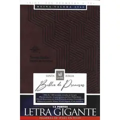 GENERICO - BIBLIA EDICIÓN DE PROMESAS RVR1960 LETRA GIGANTE CON ÍNDICE TAPA PIEL ESPECIAL