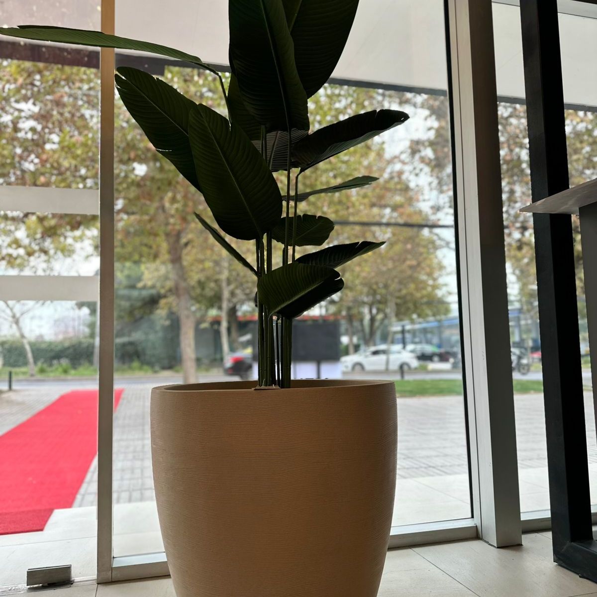 FLORIDIS - MACETERO FLORIDIS BEIGE AMSTERDAM 70CM ALTO CON PLATO