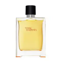 HERMES - Terre DHermes EDT 100 Ml Hombre