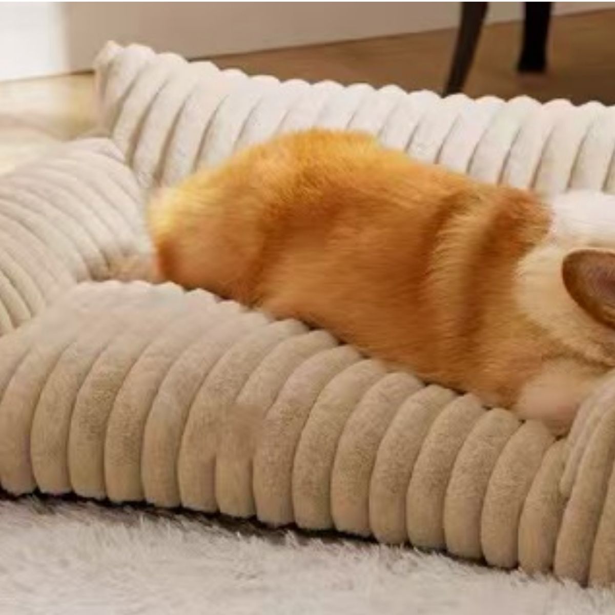 HOMER OUTDOOR - Cama  Para Gatos Y Perros Homer Outdoor Sofá Mediana Blanco