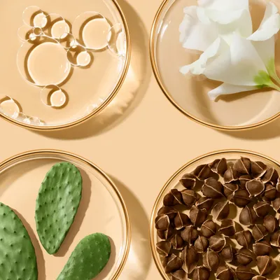 Imagen 2 del producto Crema Hidratante Revitalizing Supreme+ Power Soft Creme 50 Ml Estée Lauder