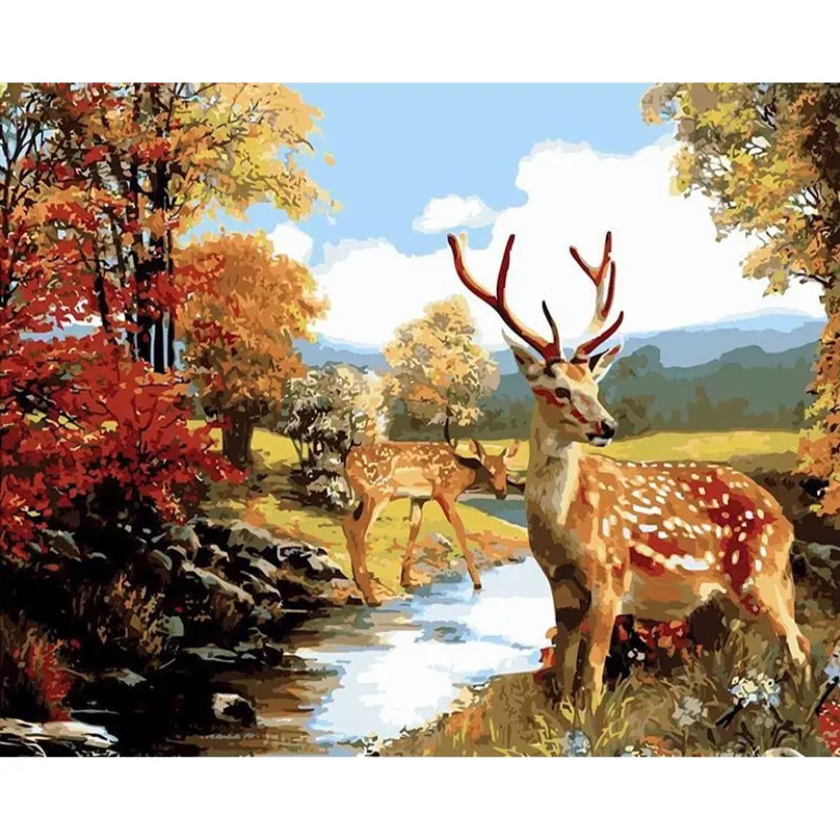 GENERICO - Pintura Por Numeros Venado Salvaje Fauna Manualidad 40x50