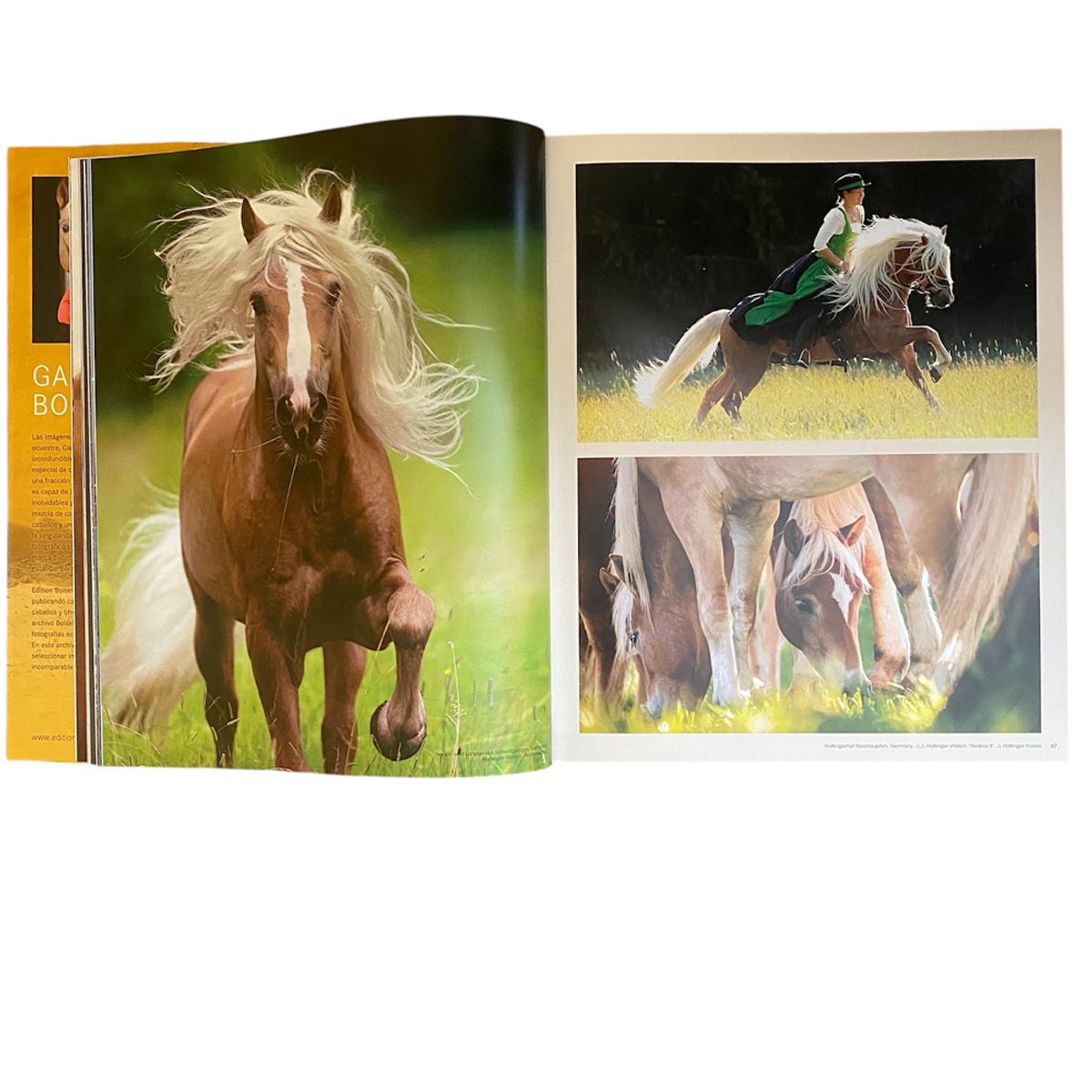 LEXUS EDITORES - Libro Los Caballos Mas Bellos Del Mundo - Konemann -. 8 Idiomas