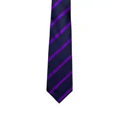 IPEK - Corbata de Seda - Purple Guven