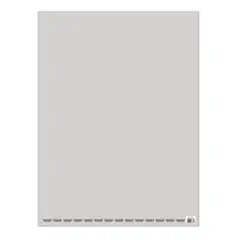 PROARTE - Pliego Cartulina Pintada 53x75 cm Color Gris Claro