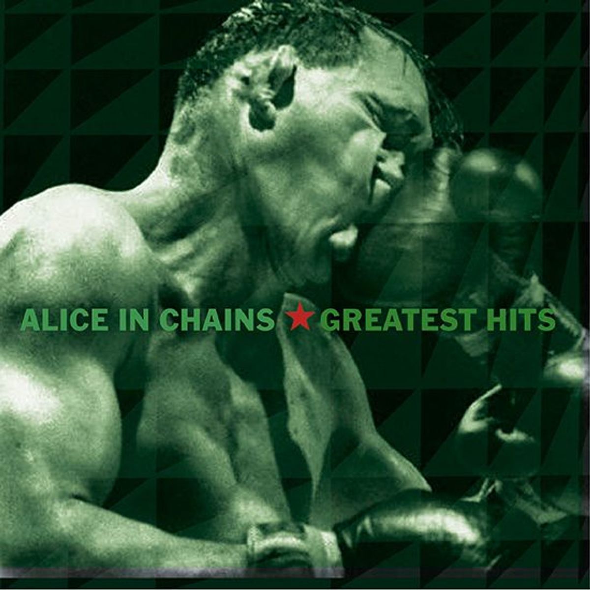 COLUMBIA RECORDS - Alice In Chains - Greatest Hits - CD