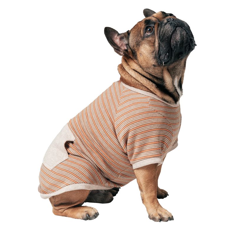 MOTA - Chaqueta de Perro Café Mota