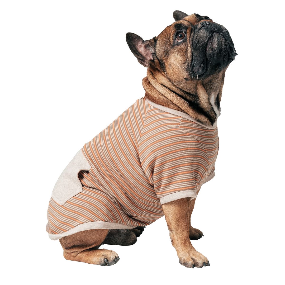 MOTA - Chaqueta de Perro Café Mota